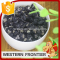Venda por atacado Wolfberry seco nova safra Black Goji Berry